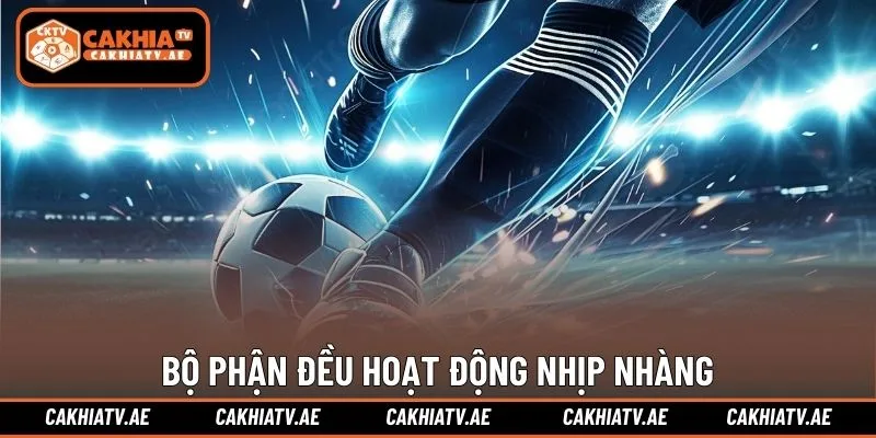 Bộ phận phía sau mỗi trận đấu đều hoạt động nhịp nhàng
