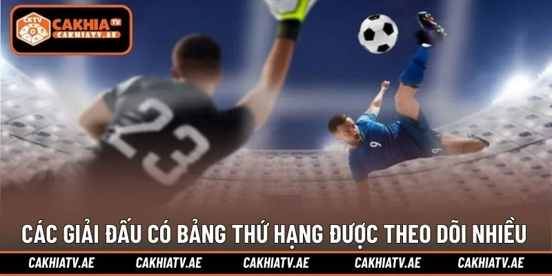 Các giải đấu có bảng thứ hạng được theo dõi nhiều nhất