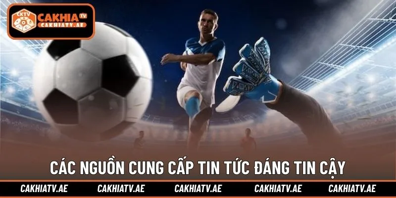 Các nguồn cung cấp tin tức đáng tin cậy trên thị trường