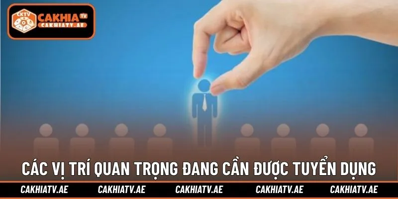 Các vị trí quan trọng đang cần được tuyển dụng nhân sự