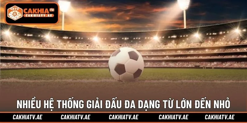 Nhiều hệ thống giải đấu đa dạng từ lớn đến nhỏ đều có mặt