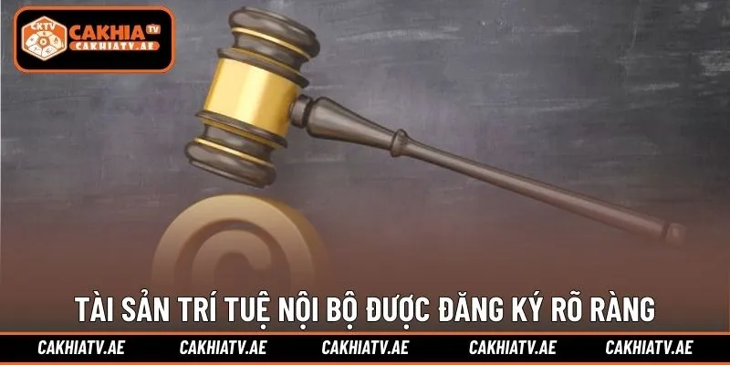 Tài sản trí tuệ nội bộ được đăng ký rõ ràng