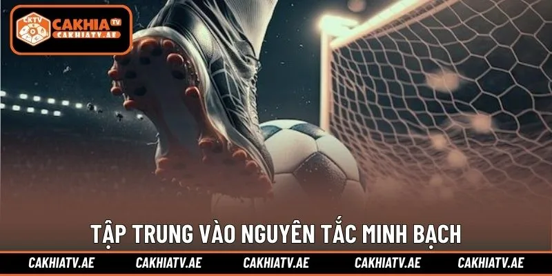 Tập trung vào nguyên tắc minh bạch và chuẩn mực thông tin