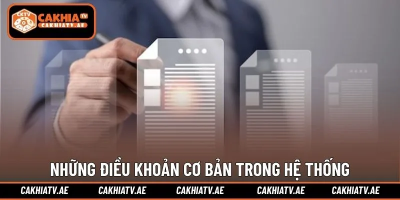 Tổng hợp những điều khoản cơ bản trong hệ thống